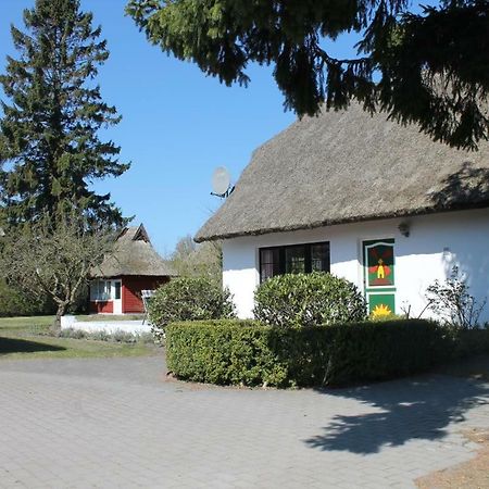 Villa Ferienhaus Ilva in Born Exterior foto
